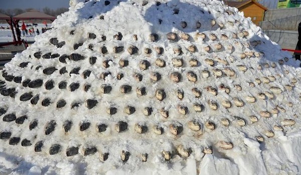 年年有鱼,十全十美:大鱼垒成10层雪塔保鲜
